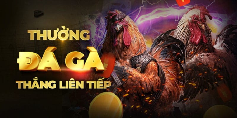 Sân chơi đẳng cấp thời thượng nhất hiện nay