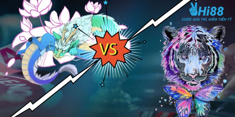 Rồng hổ là gì?