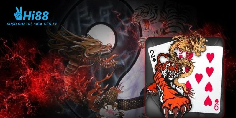 Hiểu về cách soi cầu Rồng Hổ