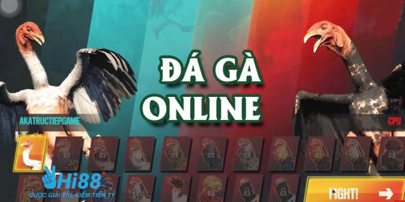 Tìm hiểu chung về hình thức đá gà trực tiếp trên mạng