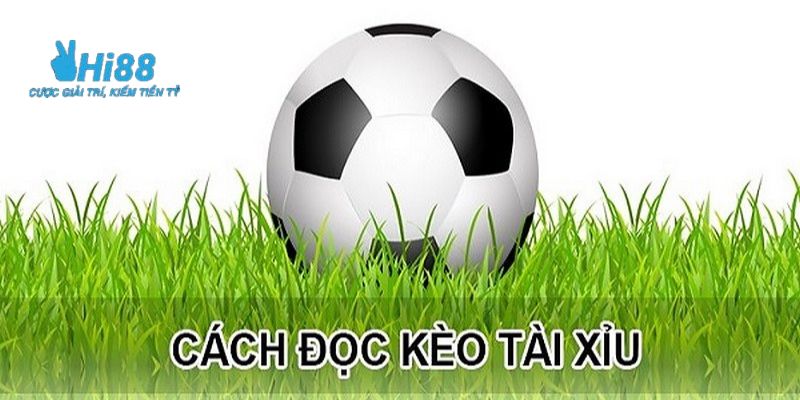 soi kèo bóng đá tài xỉu Tổng hợp các phương thức soi kèo bóng đá tài xỉu phổ biến