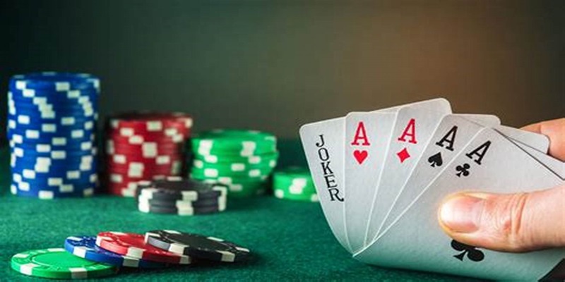 Nhập thông tin đăng nhập thật chính xác