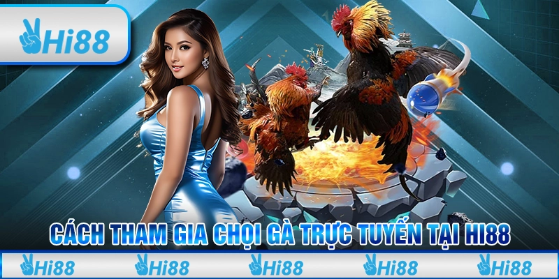 Cách Tham Gia Chọi Gà Trực Tuyến Tại Hi88 Cho Tân Thủ