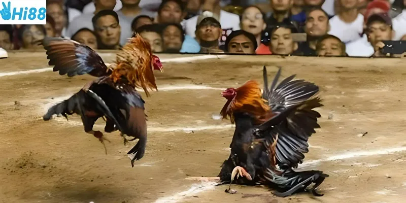 Chọn đúng thời điểm giúp bạn luôn thắng cược