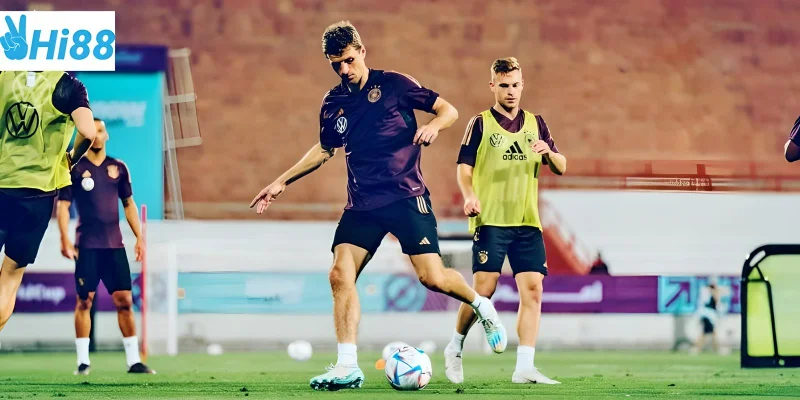 Đọc và phân tích chính xác giúp bạn hiểu rõ hơn về cược