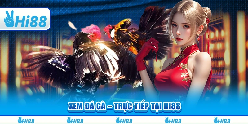 Xem Đá Gà Trực Tiếp Tại Hi88 Và Tham Gia Cá Cược Dễ Dàng