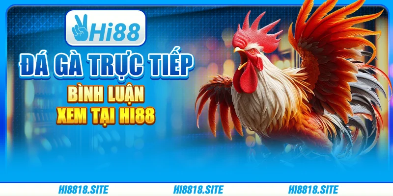 Đá Gà Trực Tiếp Bình Luận - Xem Tại Nền Tảng Giải Trí Hi88