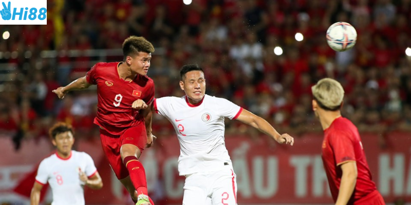 Đọc bảng tỷ lệ và phân tích biến động