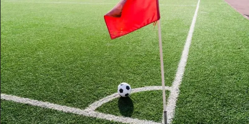 Kết hợp loại cược chuẩn