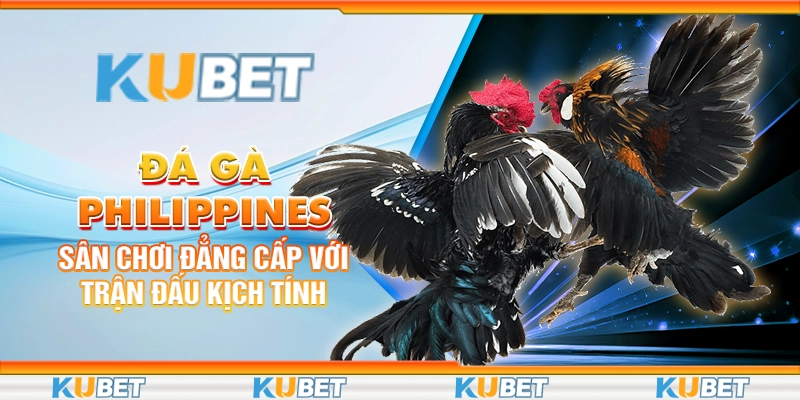 da-ga-philippines-san-choi-dang-cap-voi-tran-dau-kich-tinh