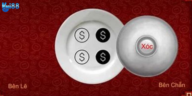 Tìm hiểu hướng dẫn xóc đĩa