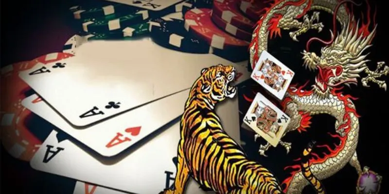 Quy trình về cách đặt cược rồng hổ
