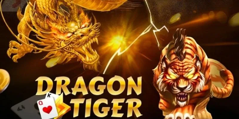 Bí kíp cược rồng hổ nắm bắt cơ hội thắng