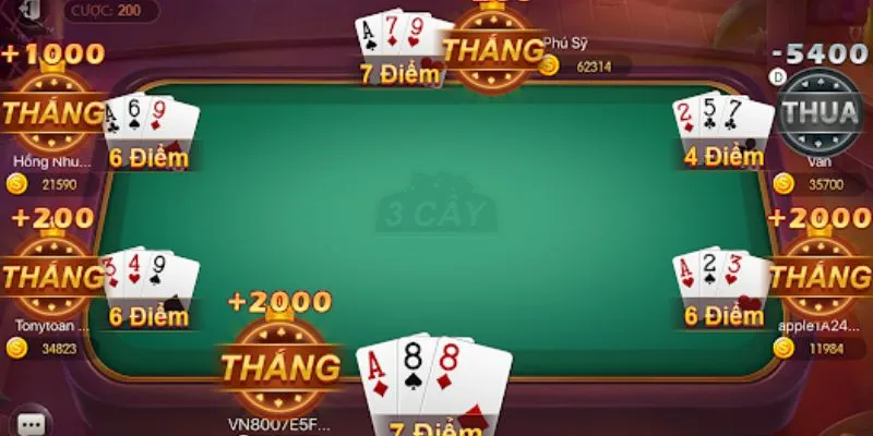 Các loại bài đặc biệt trong ba cây 