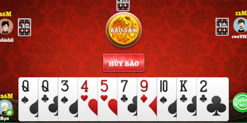 Danh sách các loại bài quan trọng trong sâm 